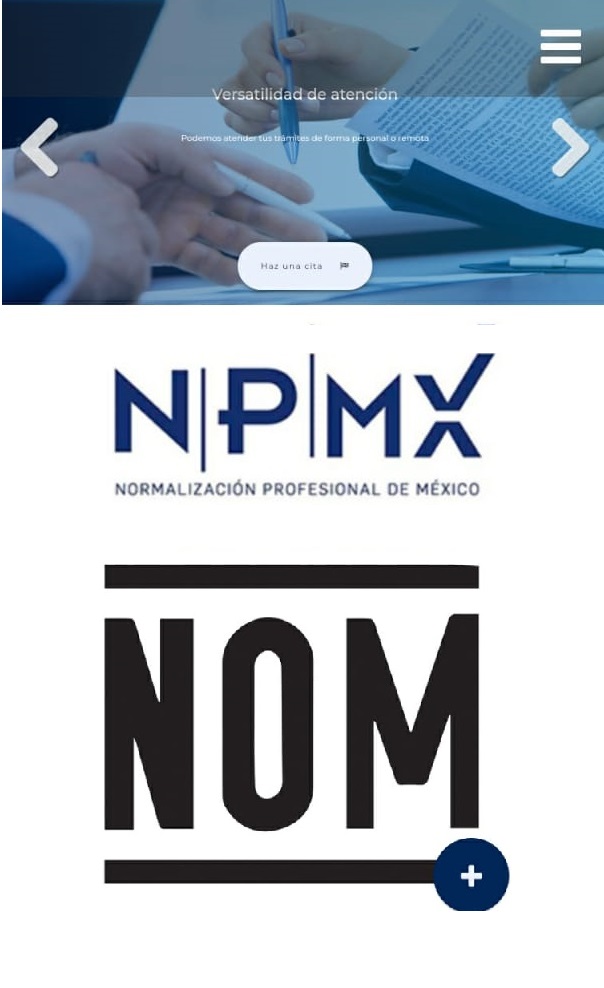 Normalización Profesional de México